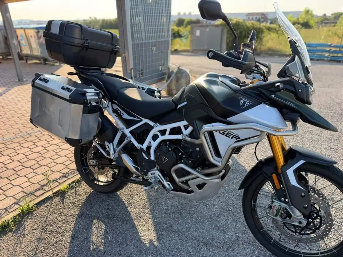 Triumph Tiger 900 Rally Pro (2024 - 26) (12)
