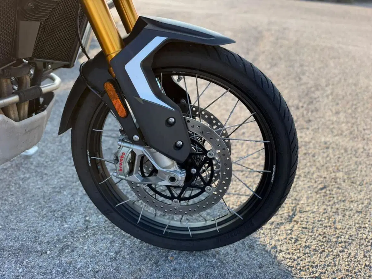 Triumph Tiger 900 Rally Pro (2024 - 26) (7)