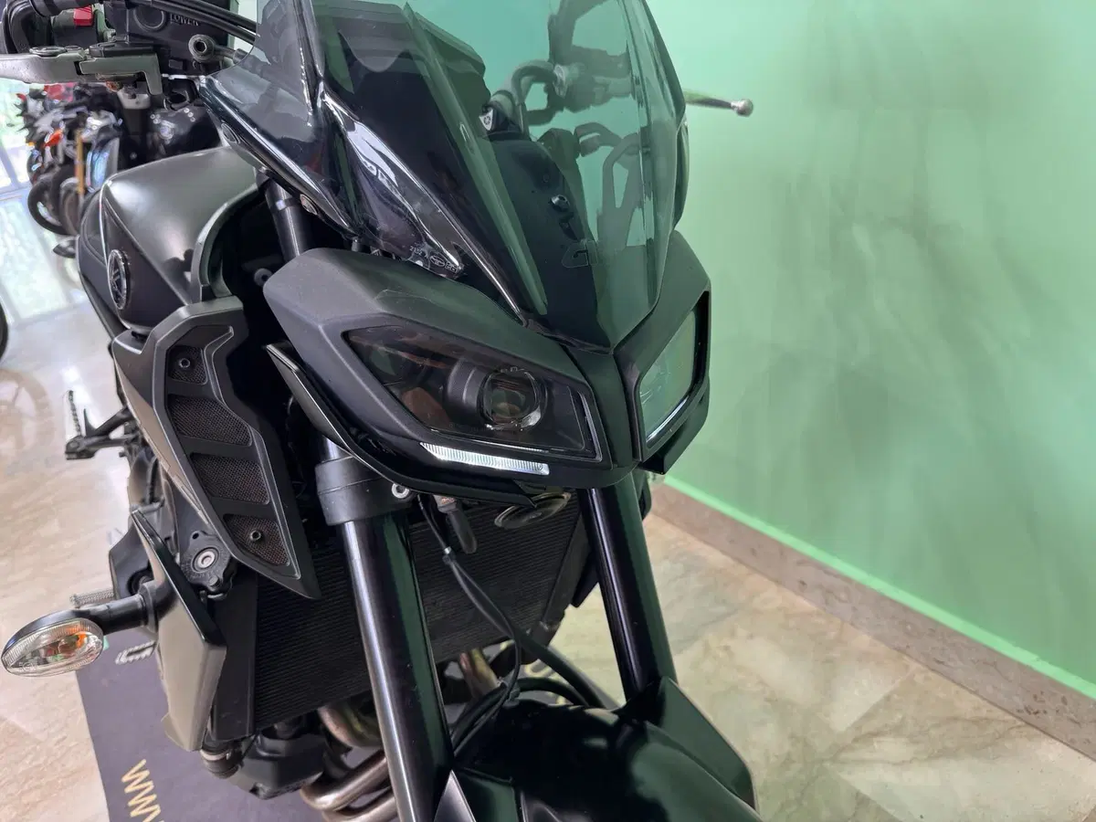 Yamaha MT-09 (2017 - 20) (7)