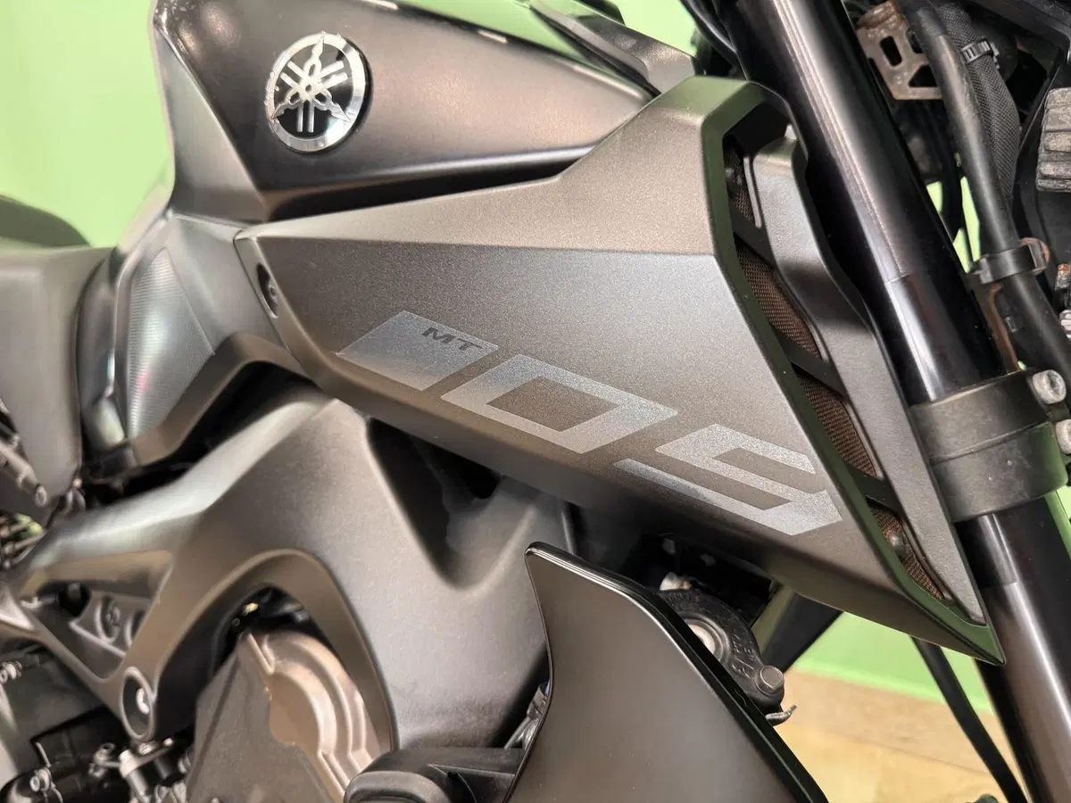 Yamaha MT-09 (2017 - 20) (16)