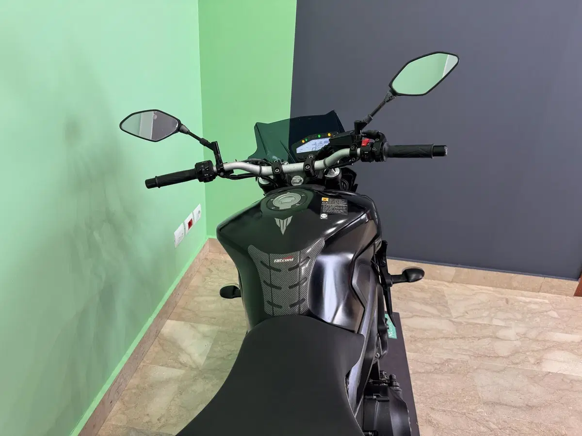 Yamaha MT-09 (2017 - 20) (17)