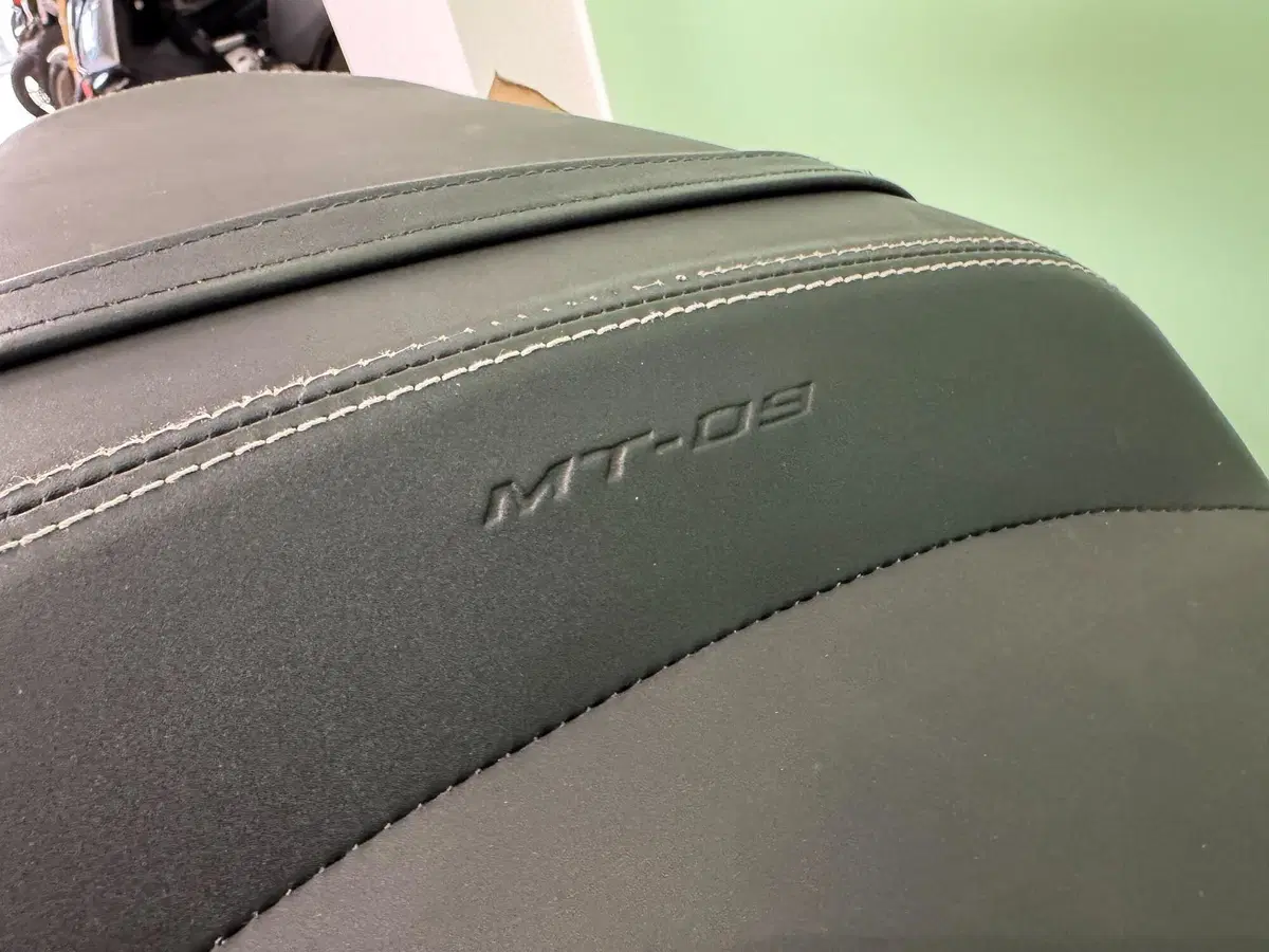 Yamaha MT-09 (2017 - 20) (19)