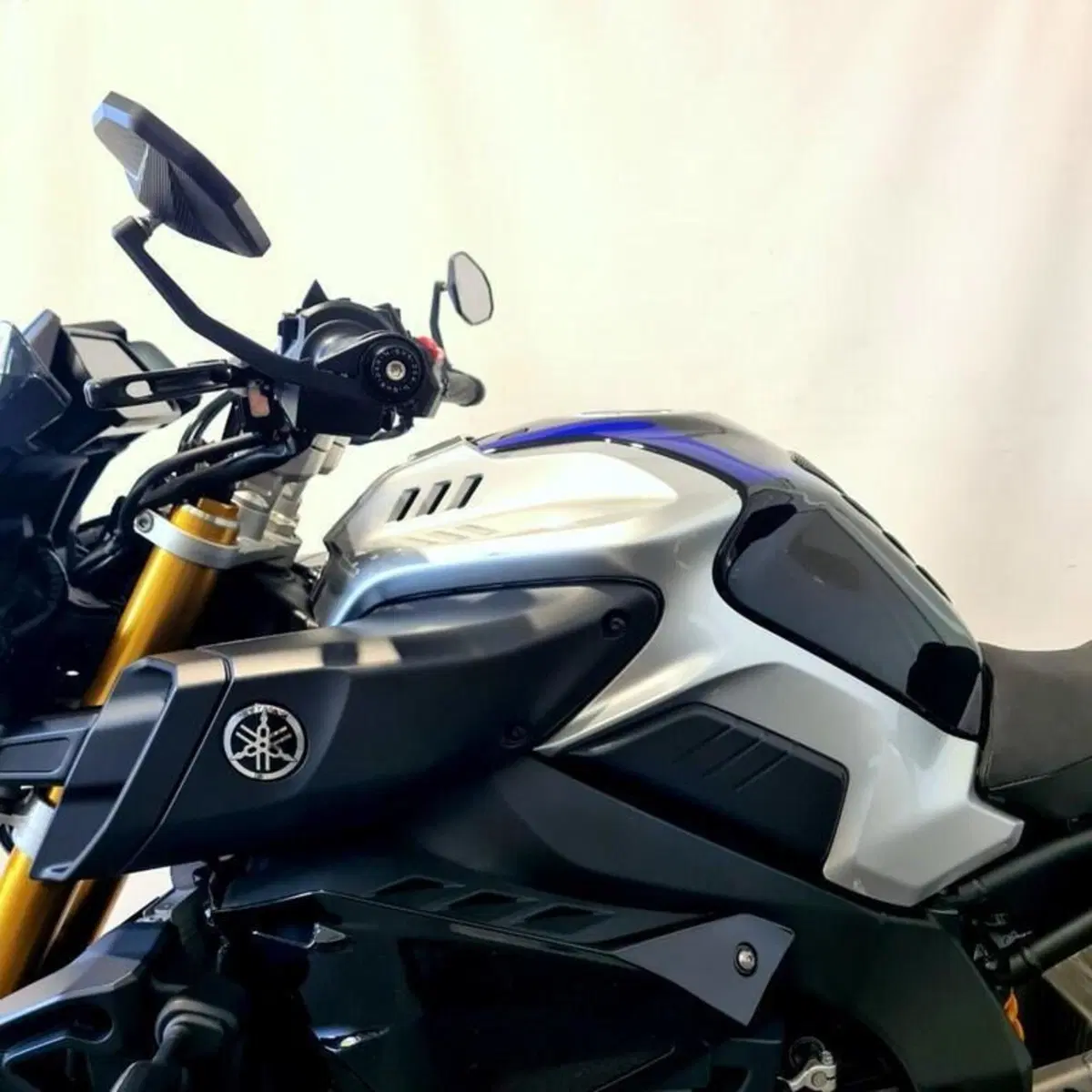 Yamaha MT-10 SP (2017 - 20) (9)