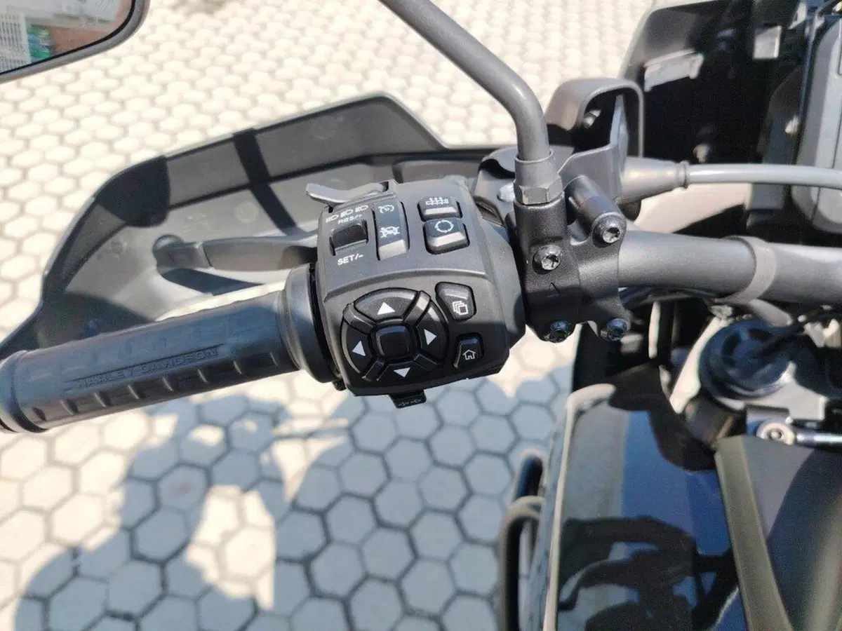 Harley-Davidson Pan America 1250 Special (2020 - 25) (9)