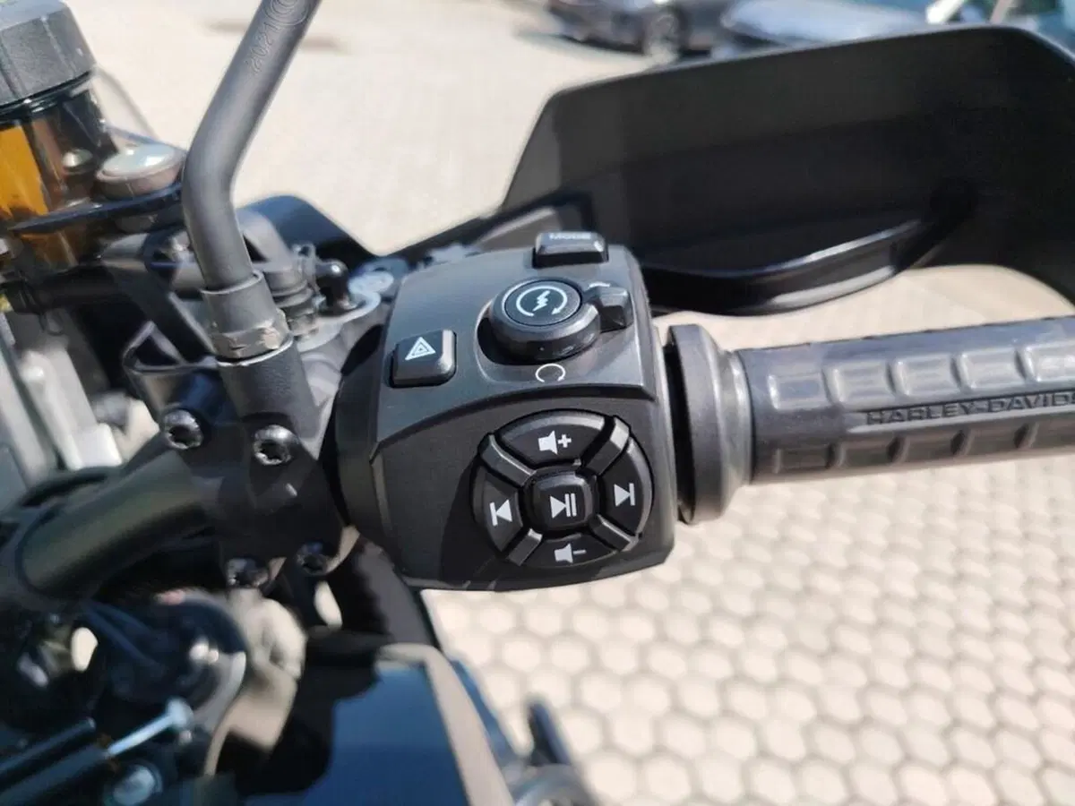 Harley-Davidson Pan America 1250 Special (2020 - 25) (10)