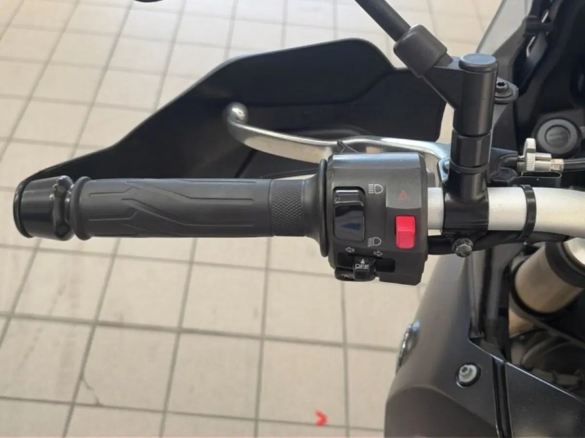 Yamaha Ténéré 700 (2019 - 20) (9)