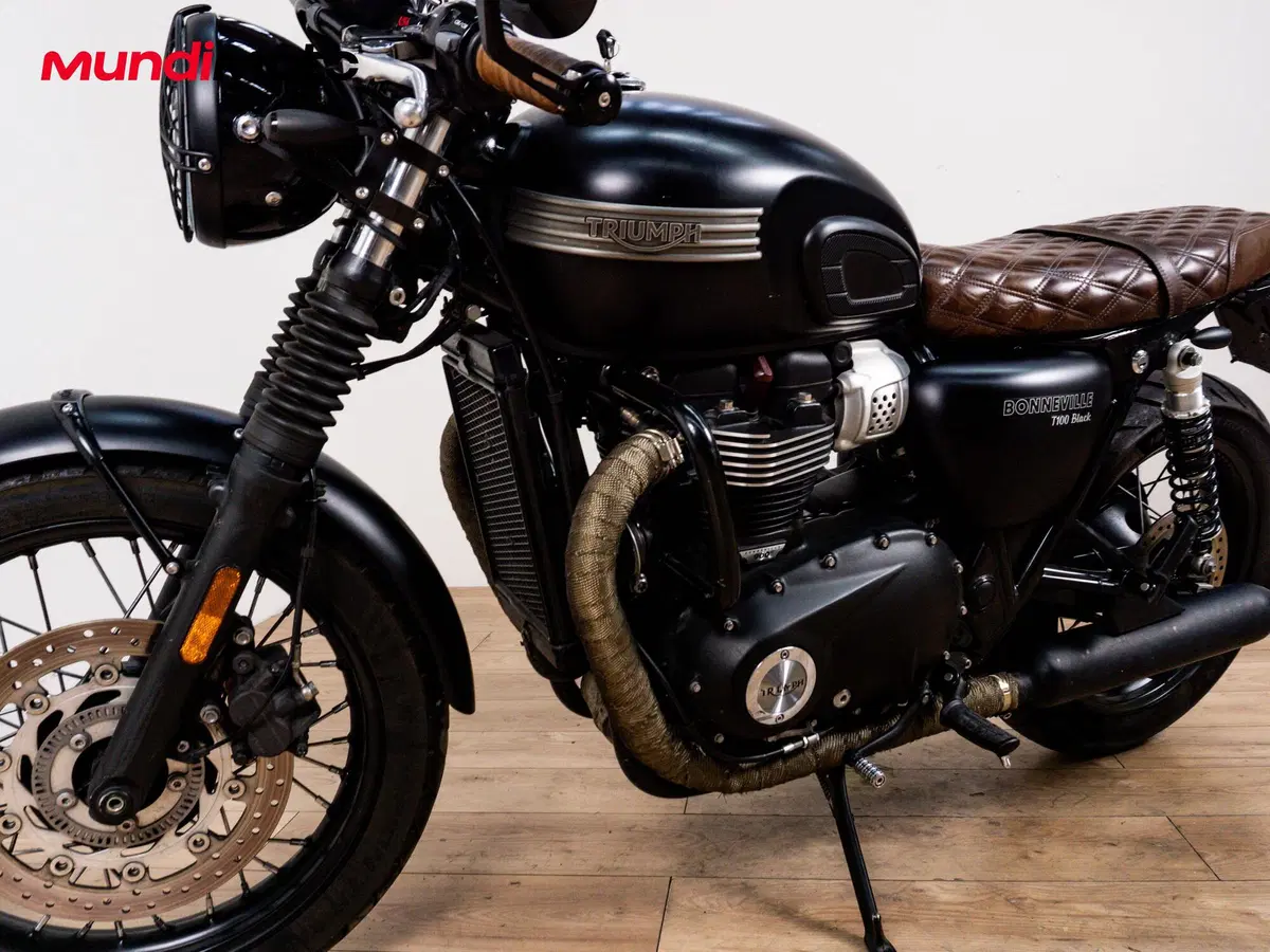 Triumph Bonneville T100 Black (2017 - 20) (9)