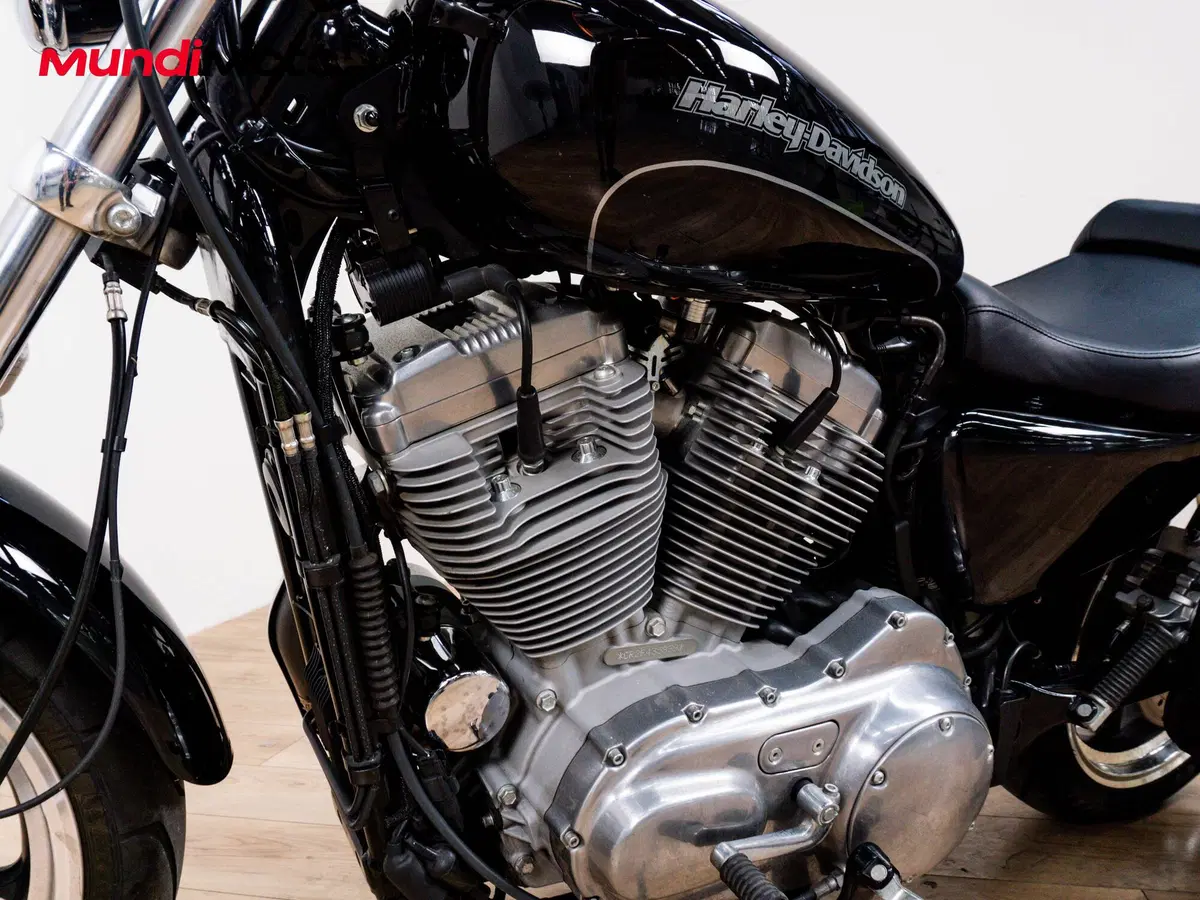 Harley-Davidson 883 Standard (2001 - 05) - XL 883 (9)