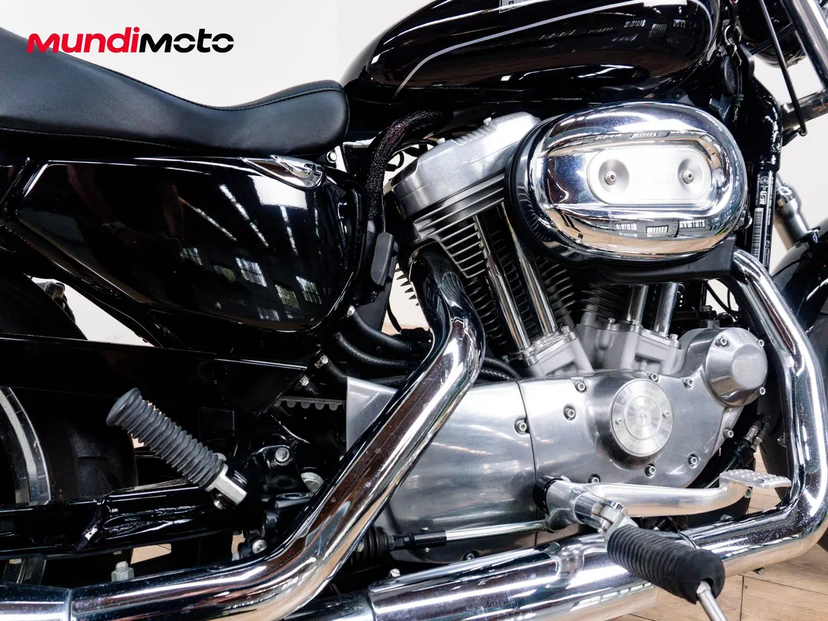 Harley-Davidson 883 Standard (2001 - 05) - XL 883 (4)