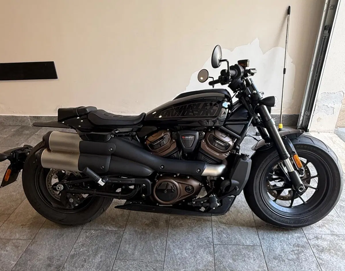 Harley-Davidson Sportster S (2022 - 24) (2)