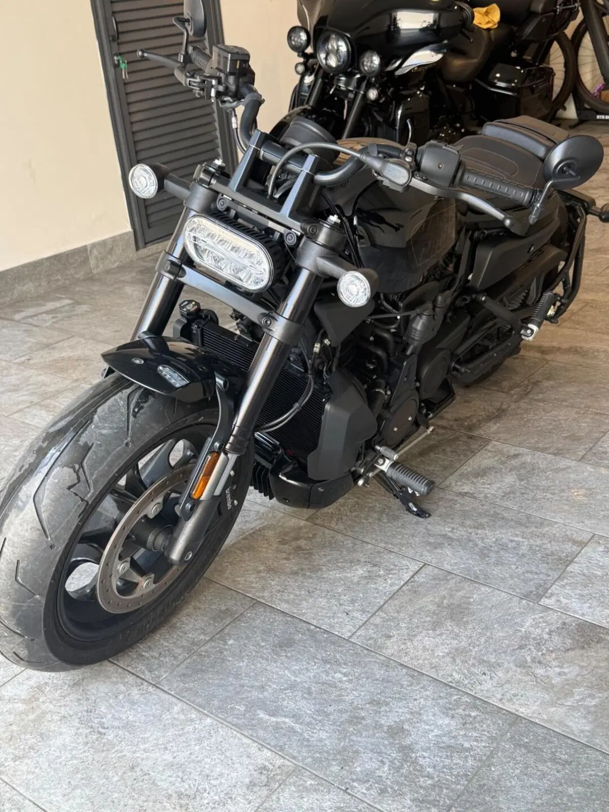 Harley-Davidson Sportster S (2022 - 24) (5)