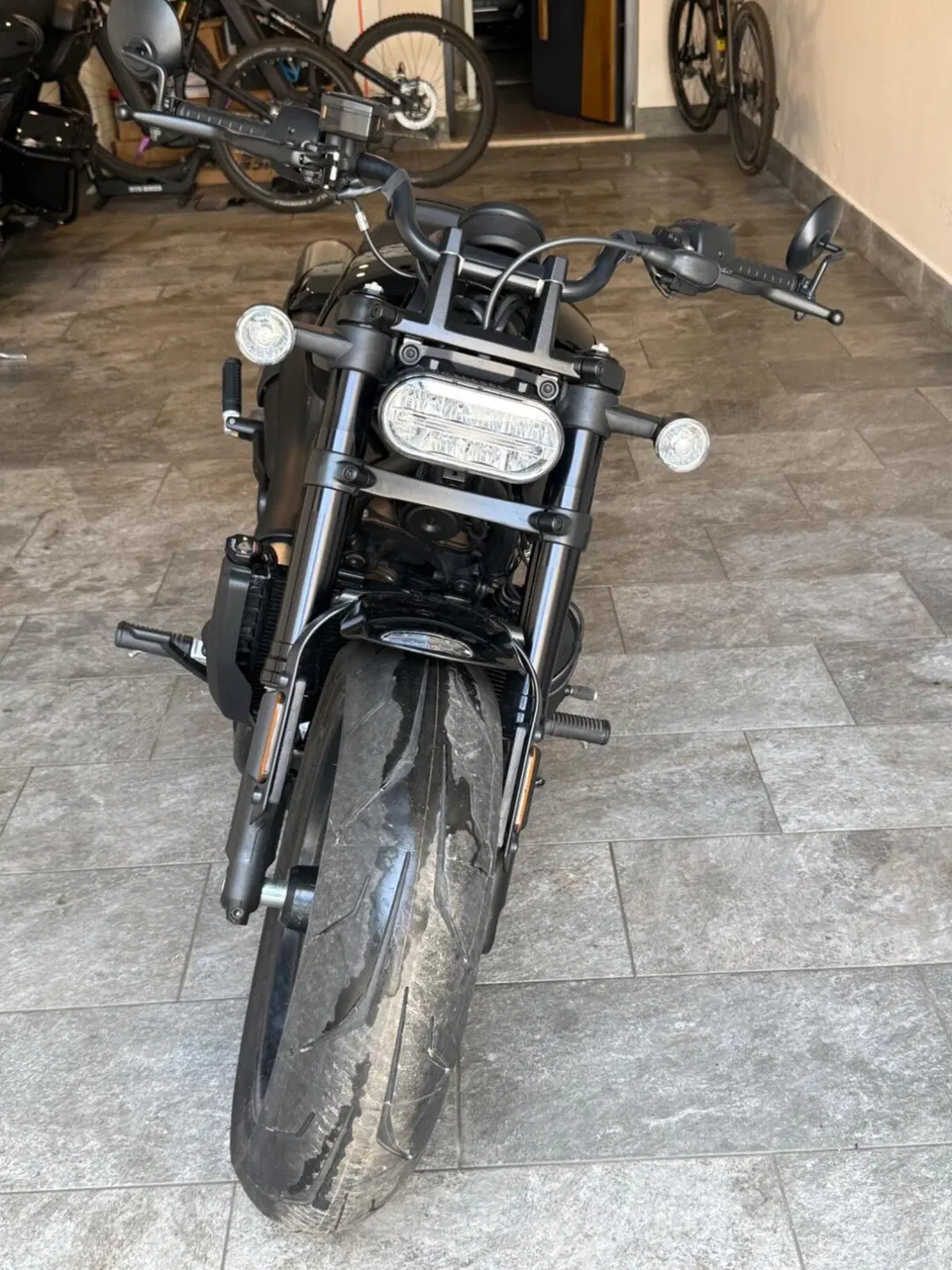 Harley-Davidson Sportster S (2022 - 24) (7)