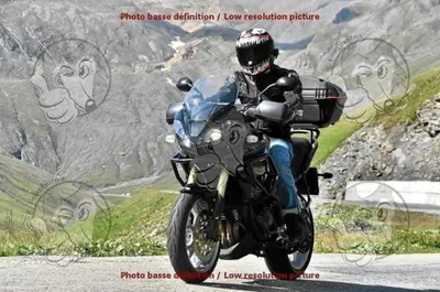 Triumph Tiger 1050 ABS (2006 - 12) usata
