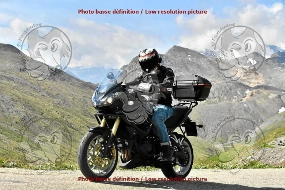 Triumph Tiger 1050 ABS (2006 - 12) (2)