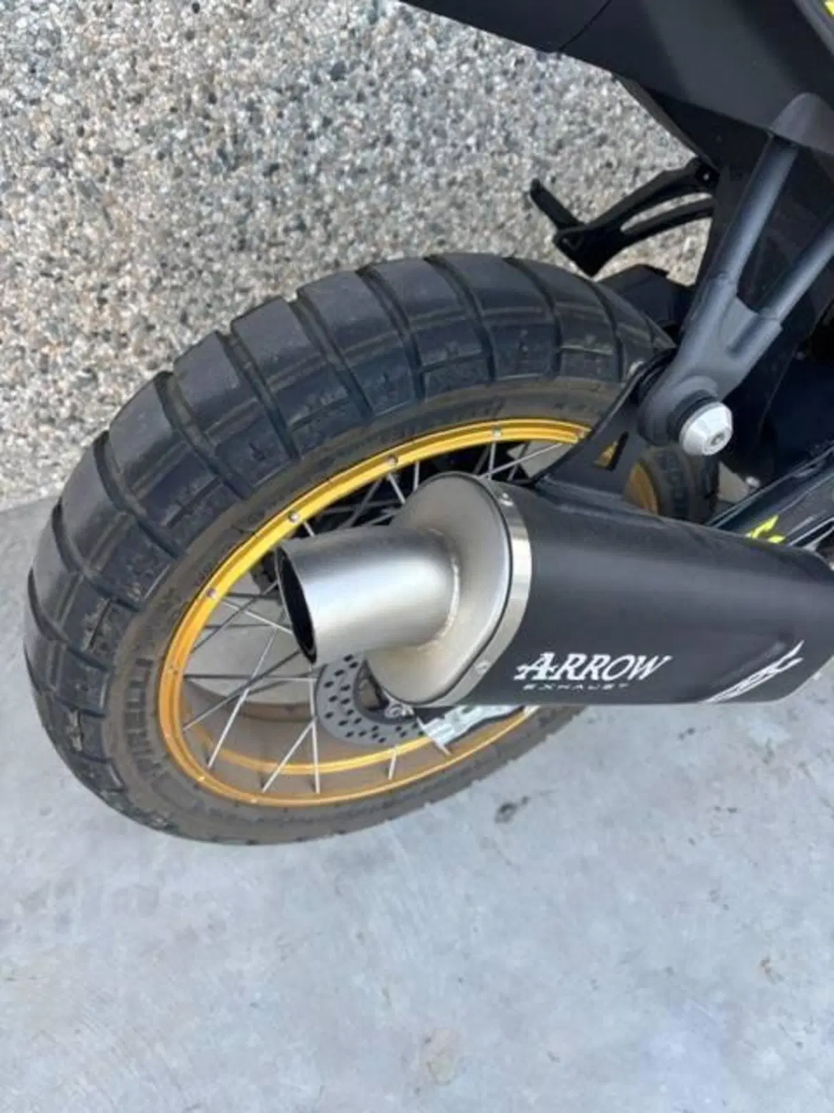 Voge Valico 800DSX Rally (2025 - 26) (5)