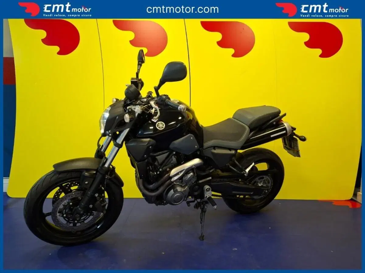 Yamaha MT-03 (2006 - 14) (3)