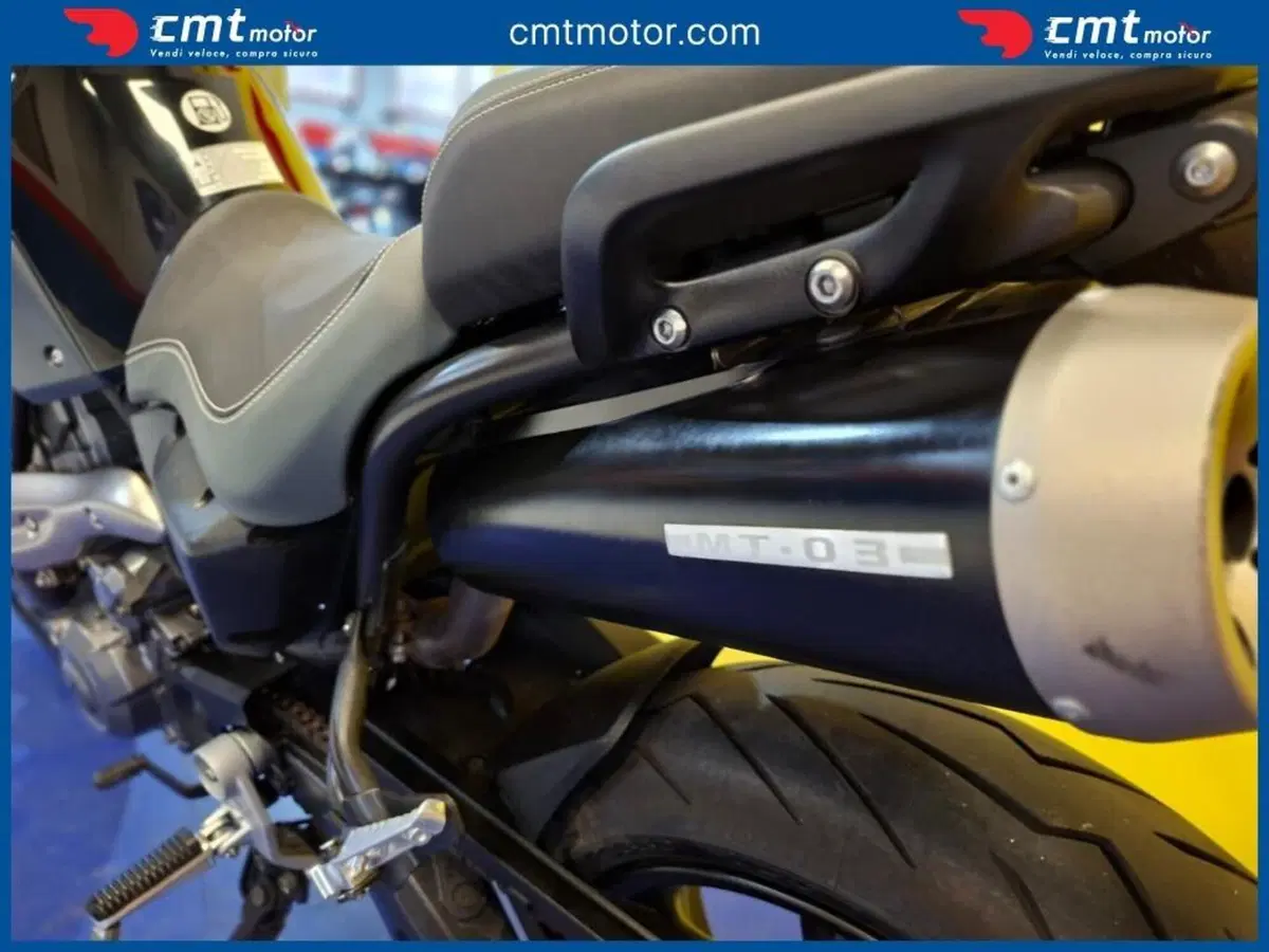 Yamaha MT-03 (2006 - 14) (6)