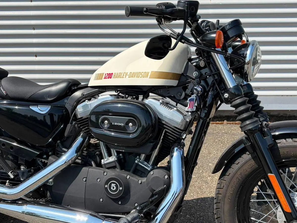 Harley-Davidson 1200 Forty-Eight (2010 - 15) (3)