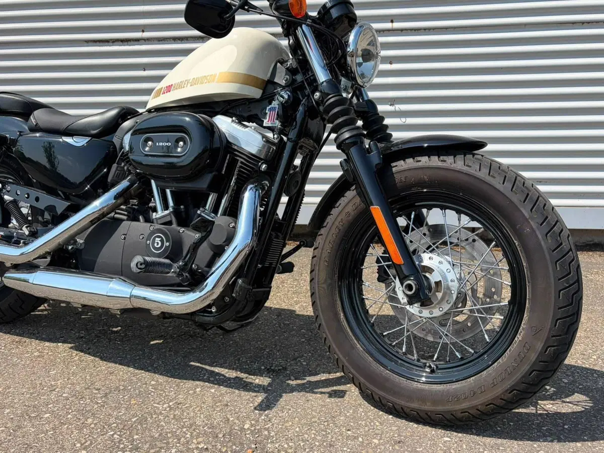 Harley-Davidson 1200 Forty-Eight (2010 - 15) (4)