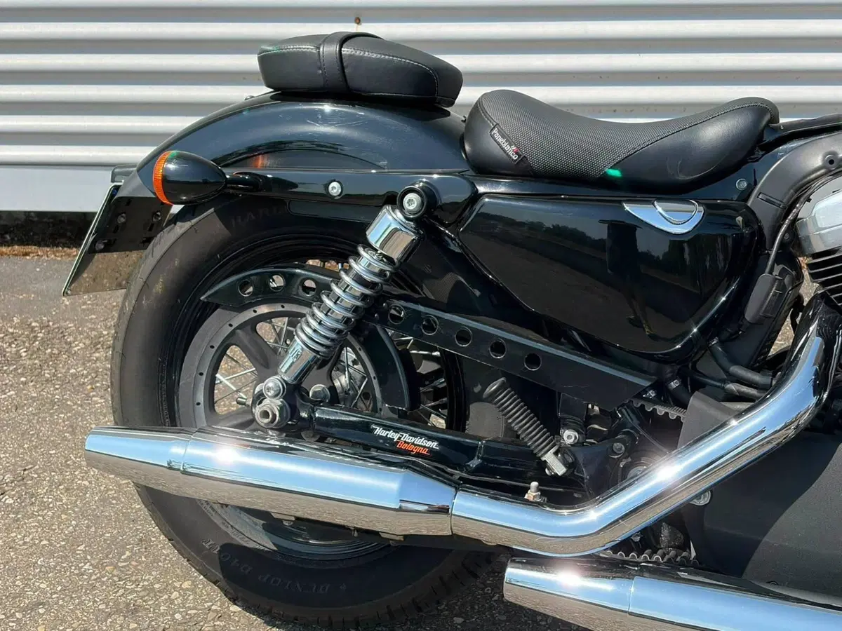 Harley-Davidson 1200 Forty-Eight (2010 - 15) (5)