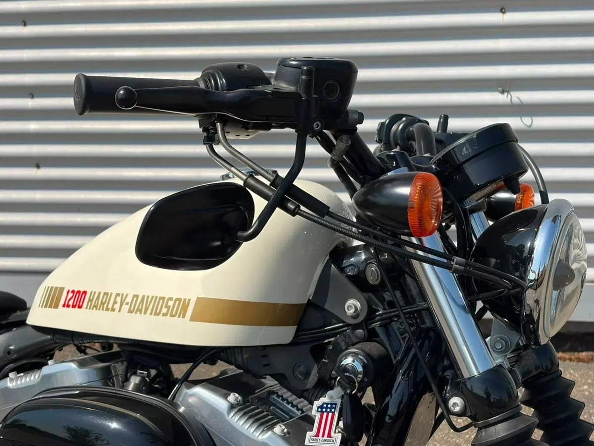 Harley-Davidson 1200 Forty-Eight (2010 - 15) (6)