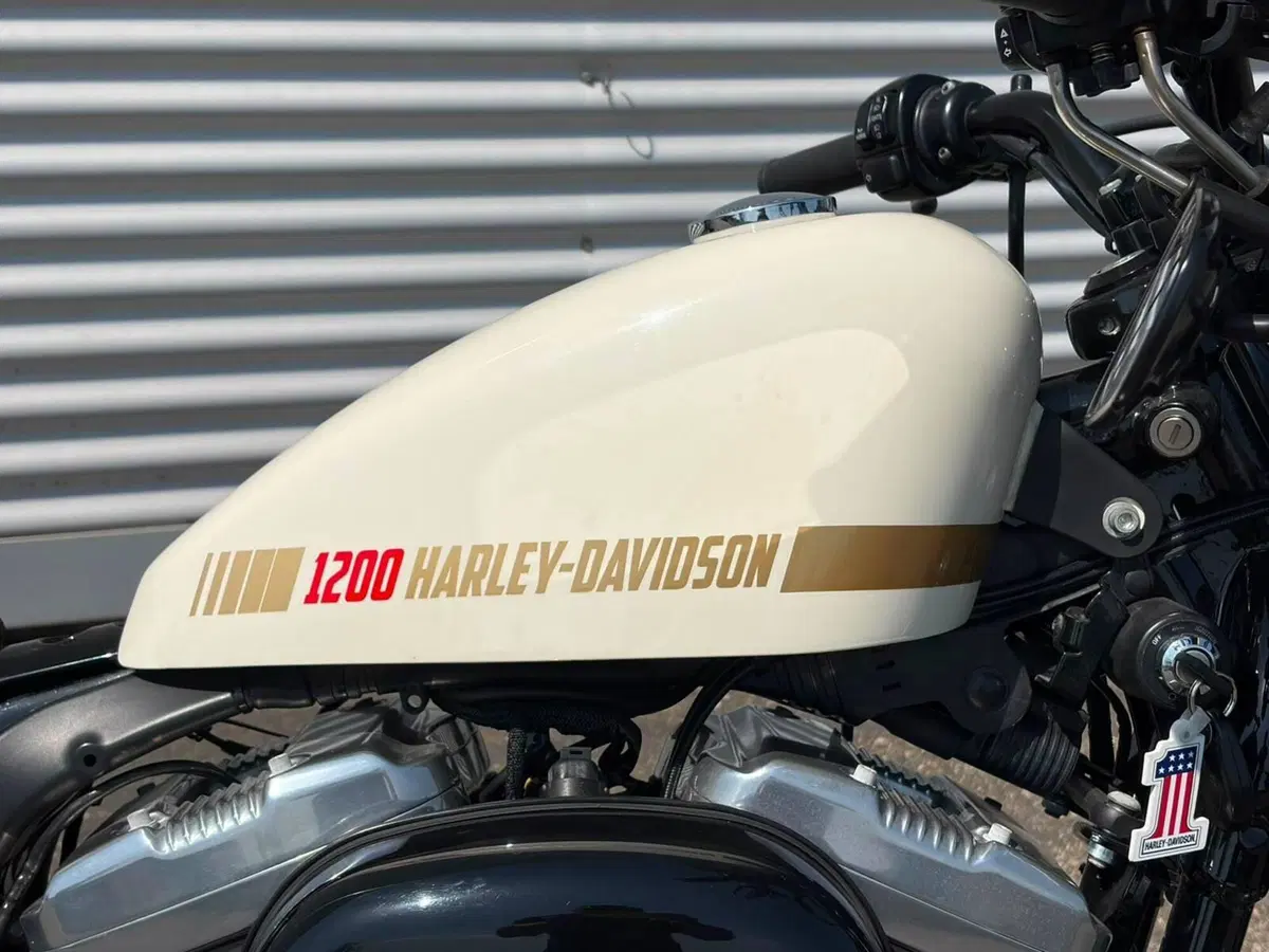 Harley-Davidson 1200 Forty-Eight (2010 - 15) (7)