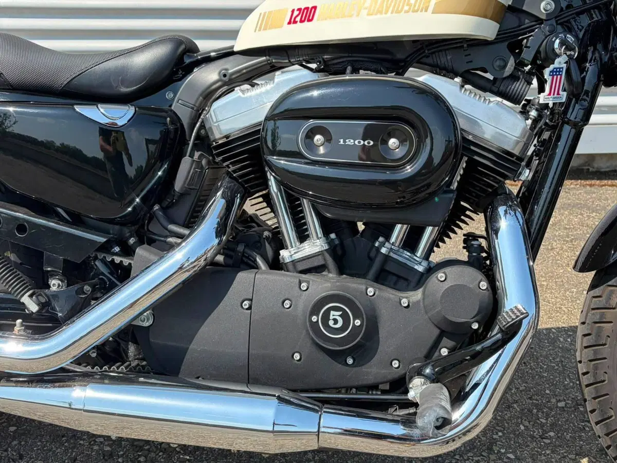 Harley-Davidson 1200 Forty-Eight (2010 - 15) (8)