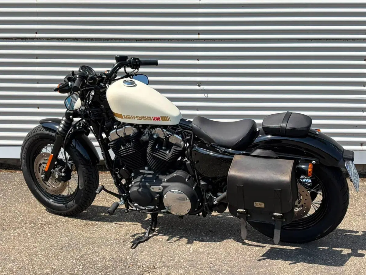 Harley-Davidson 1200 Forty-Eight (2010 - 15) (2)