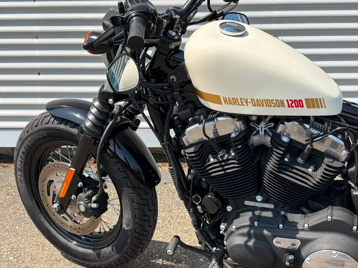 Harley-Davidson 1200 Forty-Eight (2010 - 15) (9)