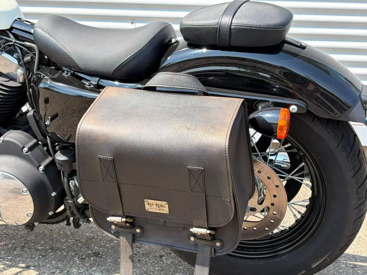 Harley-Davidson 1200 Forty-Eight (2010 - 15) (10)