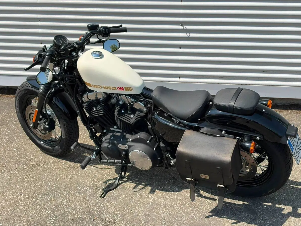 Harley-Davidson 1200 Forty-Eight (2010 - 15) (11)
