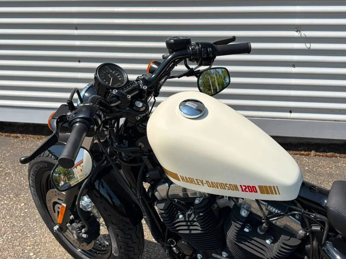 Harley-Davidson 1200 Forty-Eight (2010 - 15) (12)