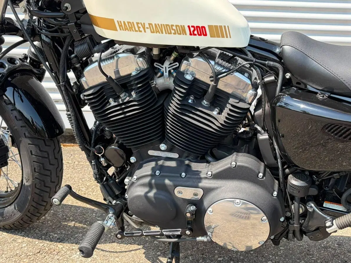 Harley-Davidson 1200 Forty-Eight (2010 - 15) (13)