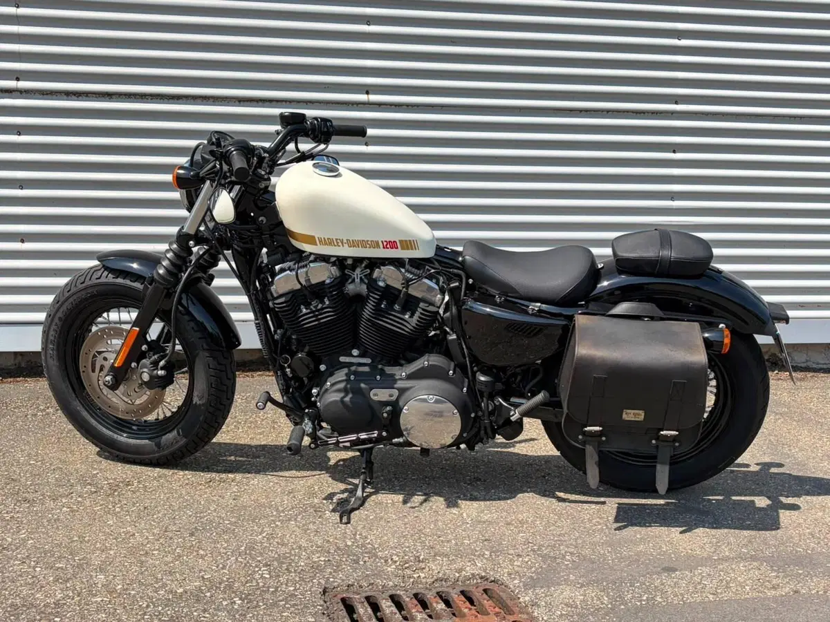 Harley-Davidson 1200 Forty-Eight (2010 - 15) (16)