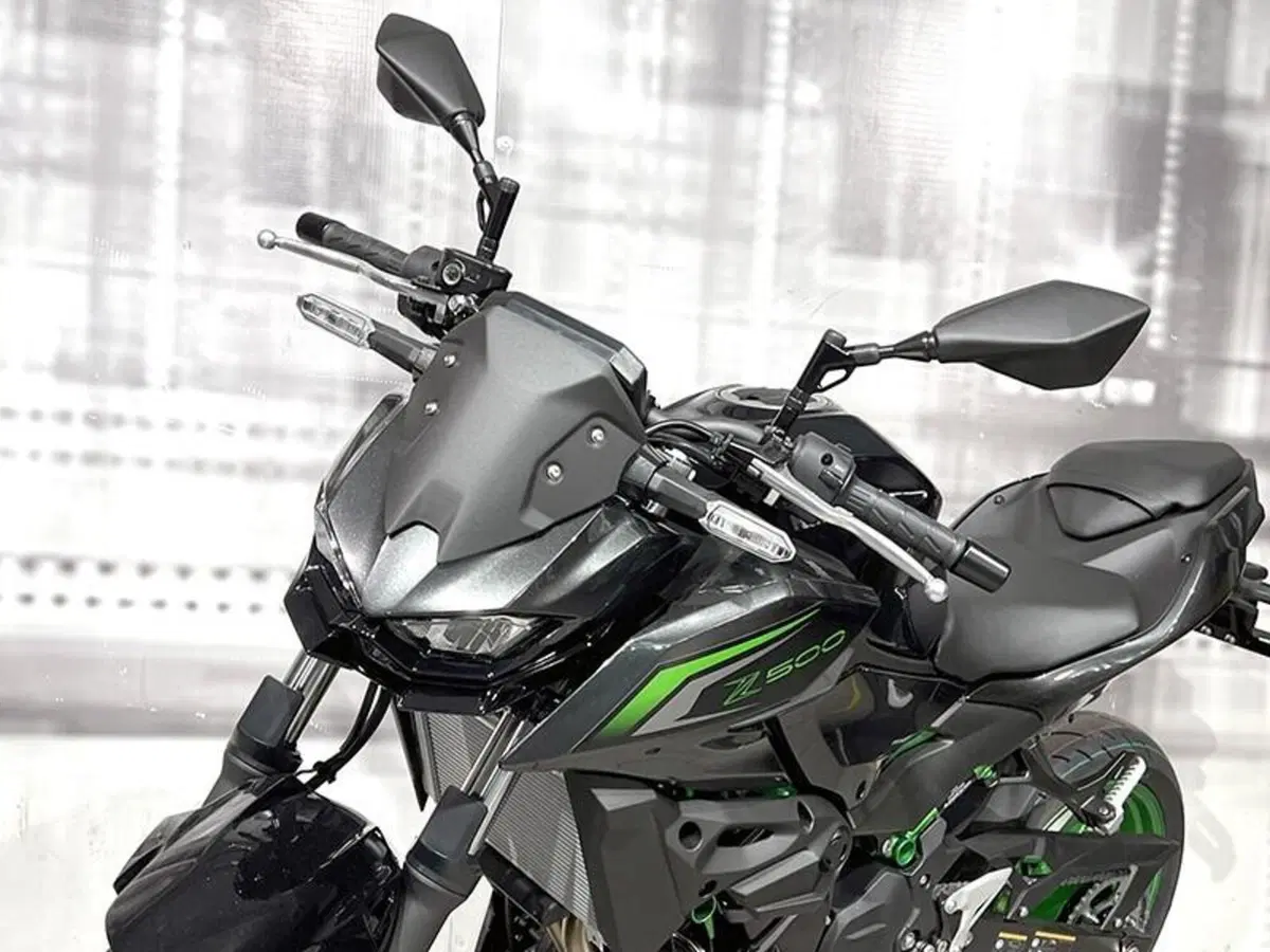 Kawasaki Z 500 SE (2024 - 26) (4)