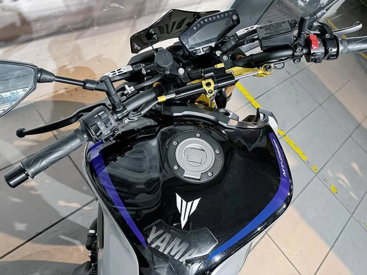 Yamaha MT-09 (2017 - 20) (4)