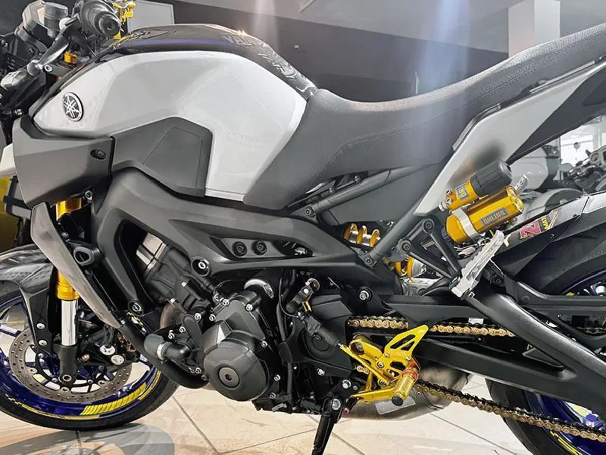 Yamaha MT-09 (2017 - 20) (7)