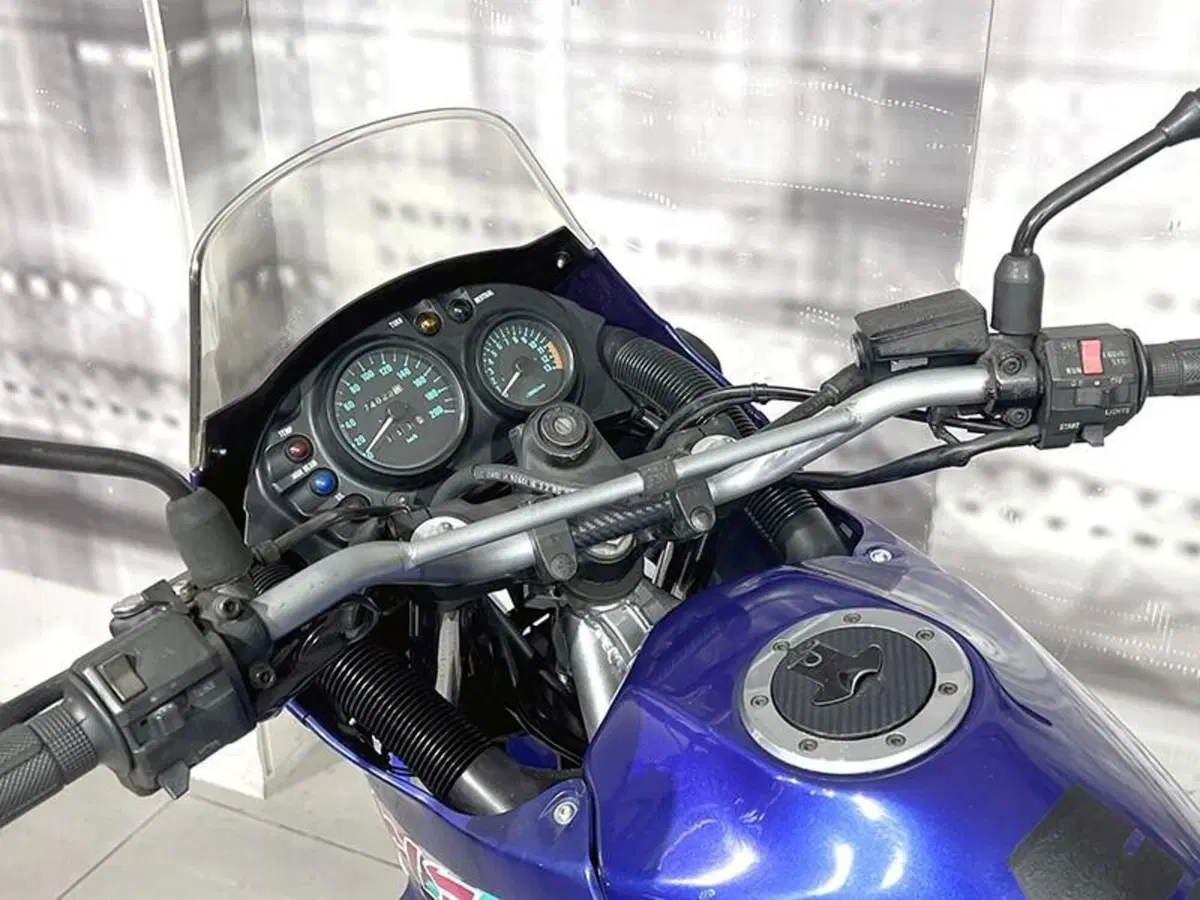 Kawasaki KLE 500 (1991 - 00) (6)