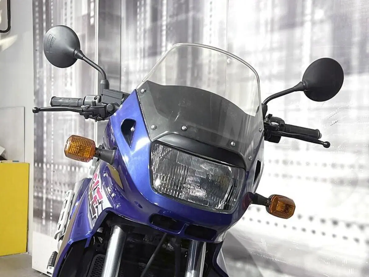 Kawasaki KLE 500 (1991 - 00) (9)
