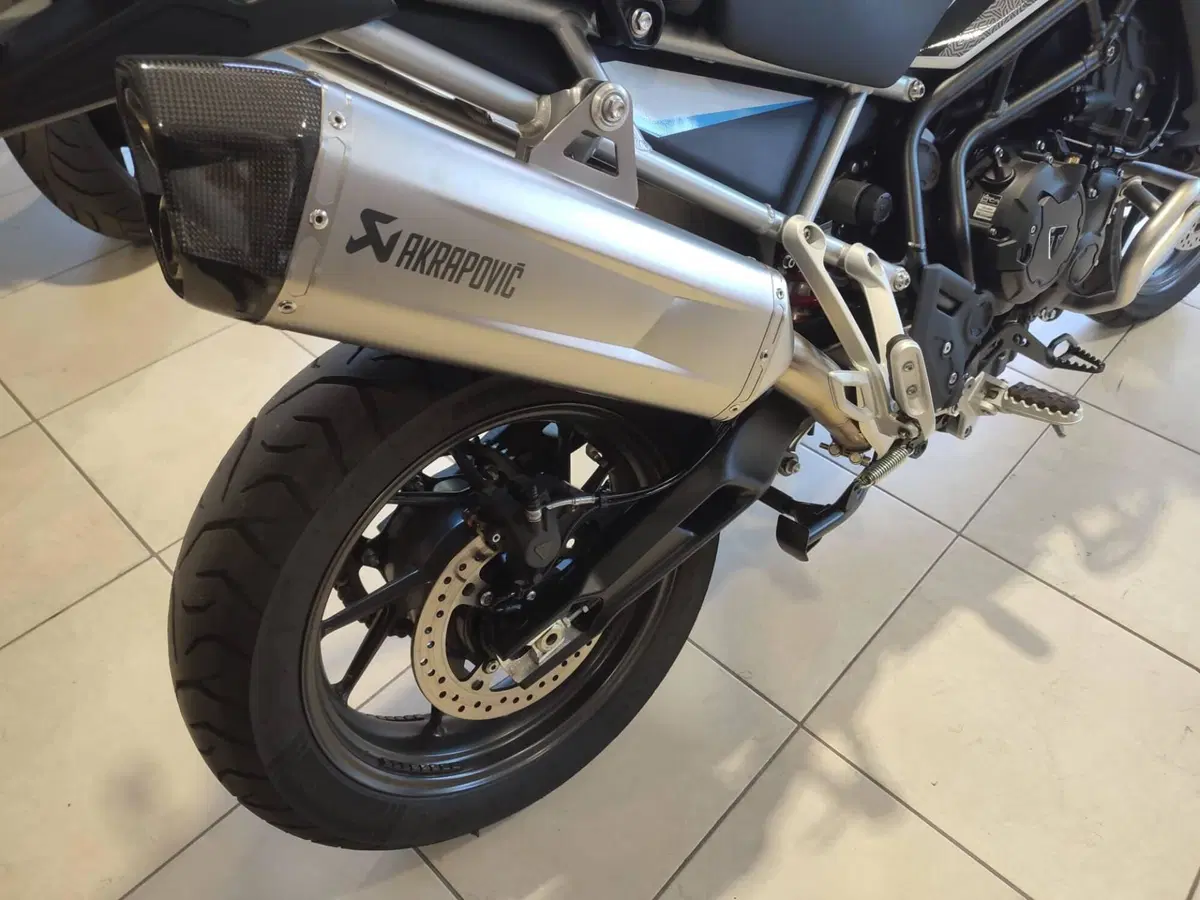 Triumph Tiger 900 Alpine Special Edition (2026) (12)