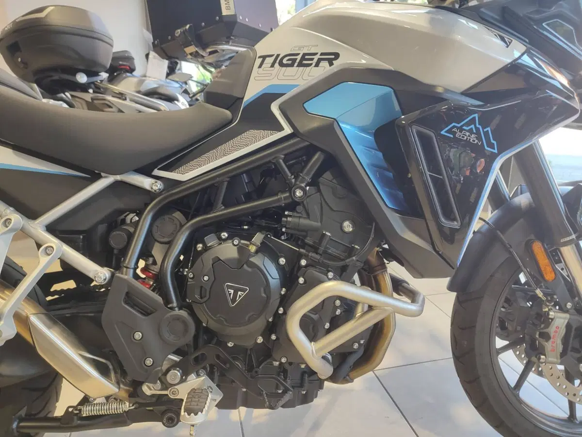 Triumph Tiger 900 Alpine Special Edition (2026) (13)