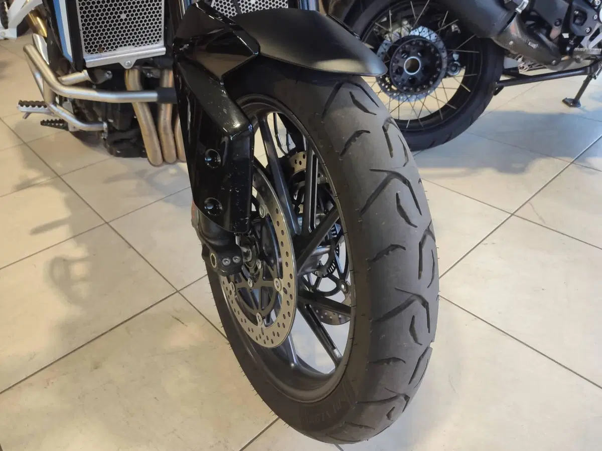 Triumph Tiger 900 Alpine Special Edition (2026) (14)