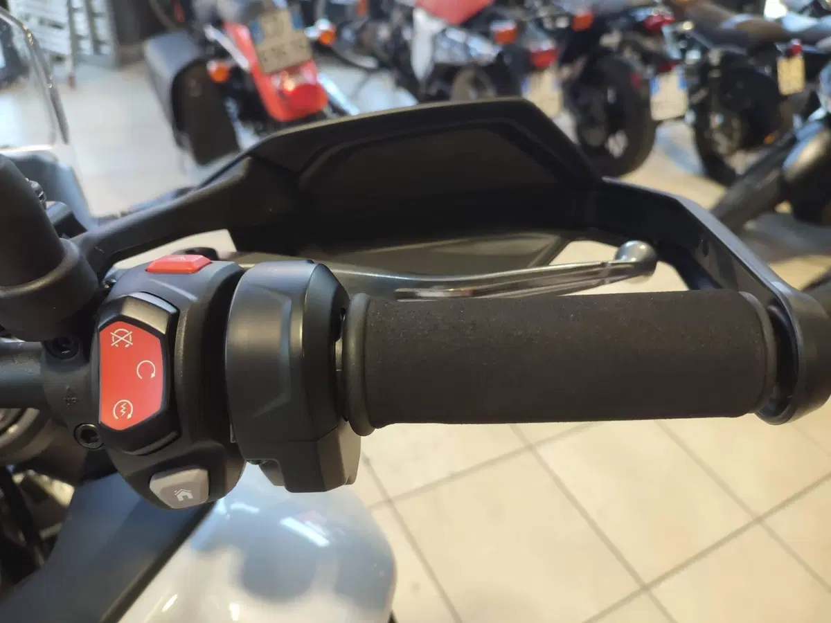 Triumph Tiger 900 Alpine Special Edition (2026) (11)