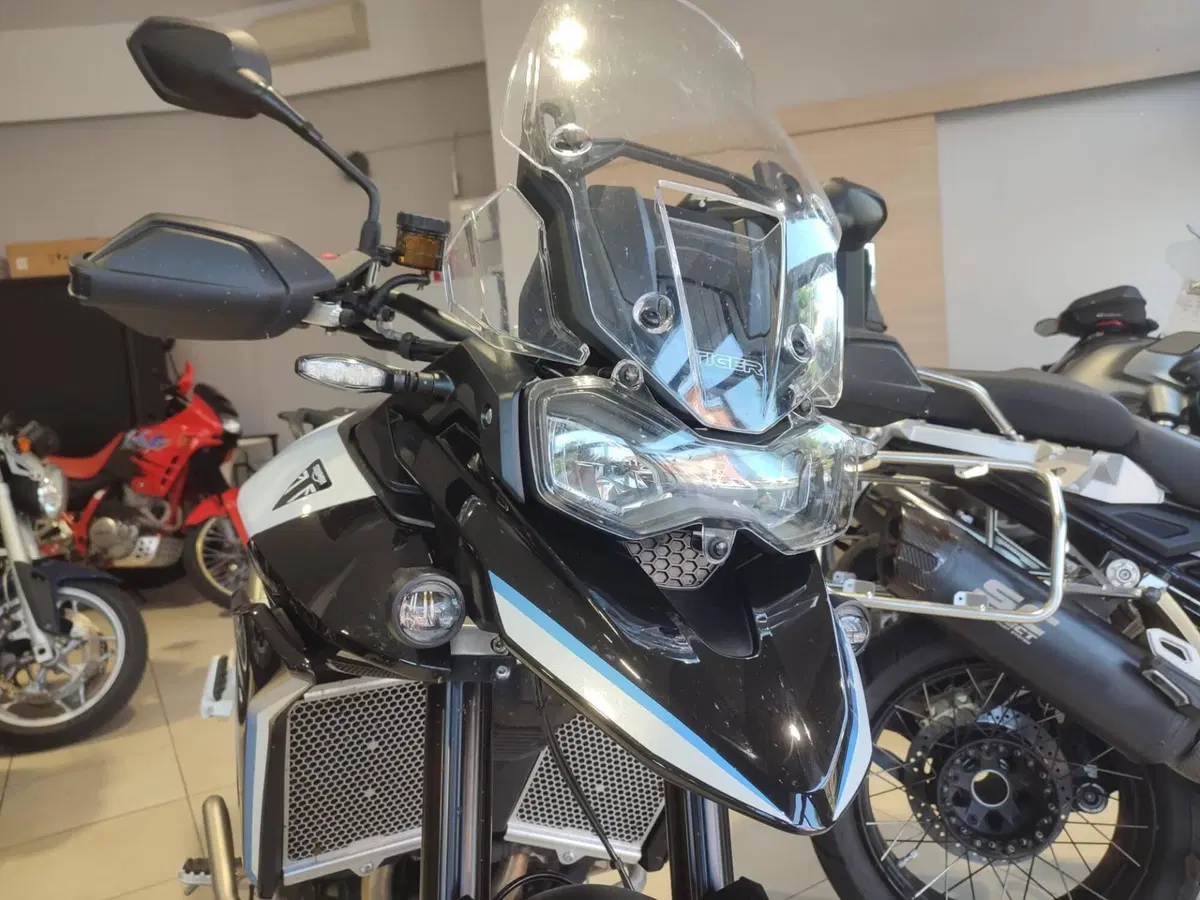 Triumph Tiger 900 Alpine Special Edition (2026) (15)