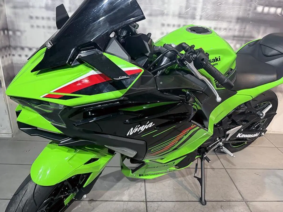 Kawasaki Ninja 500 SE (2024 - 26) (5)