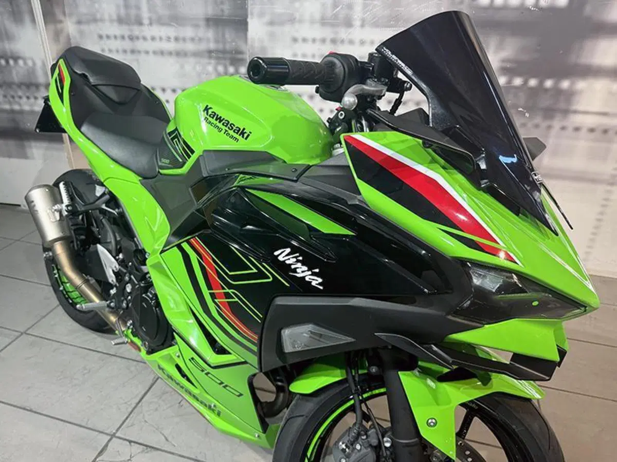 Kawasaki Ninja 500 SE (2024 - 26) (8)