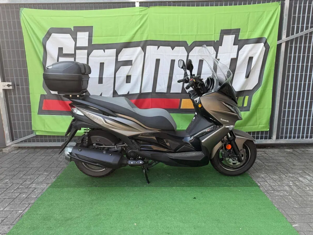 Kawasaki J 300 (2017 - 21)