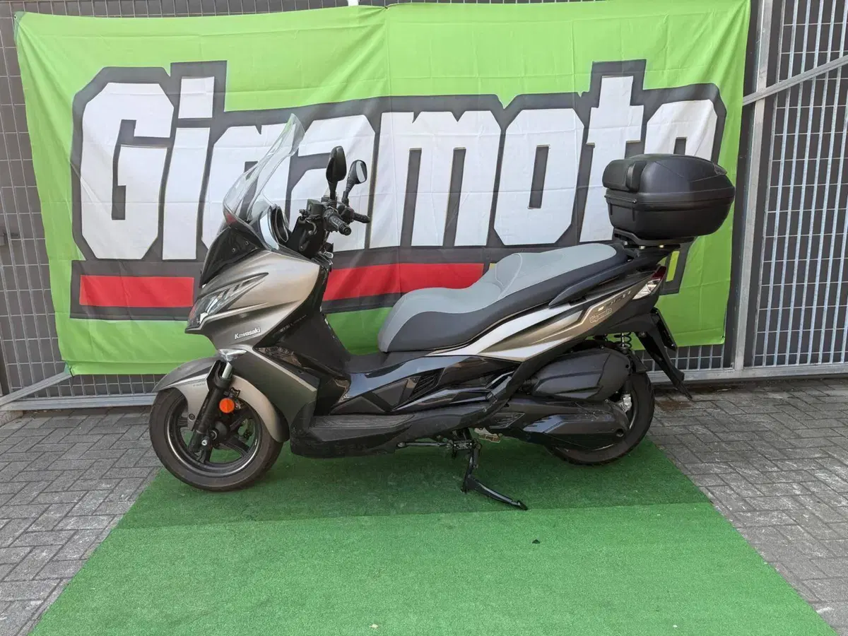 Kawasaki J 300 (2017 - 21) (2)