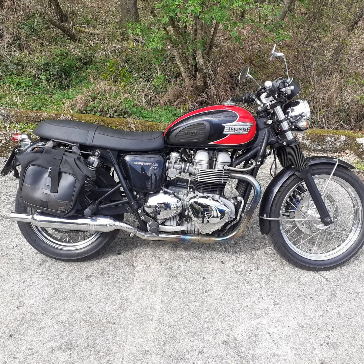 Triumph Bonneville T100 (2001 - 07) (4)