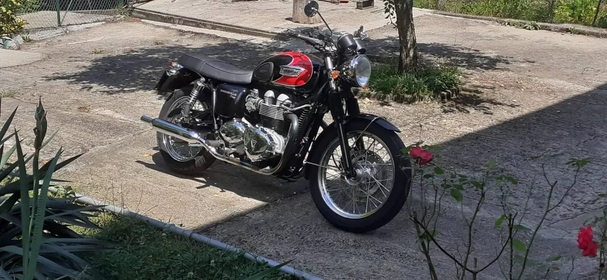 Triumph Bonneville T100 (2001 - 07) (6)
